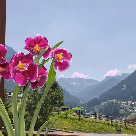 Patrizia Dolomites Glamour